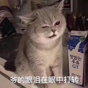 是喵星人啦00140-爷的眼泪在眼中打转猫