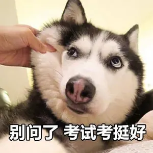 中国春节00053-别问了考试考挺好的