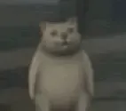 奇妙猫00008-暗夜黑猫