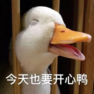 开心鸭00030-今天也要开心鸭