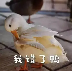 开心鸭00040-我错了鸭