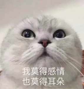 是喵星人啦00162-我莫得感情也莫得耳朵猫