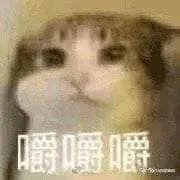 是喵星人啦00128-嚼嚼嚼猫