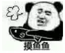金馆长熊猫00237-摸摸鱼