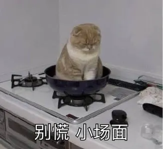 是喵星人啦00171-别慌小场面猫