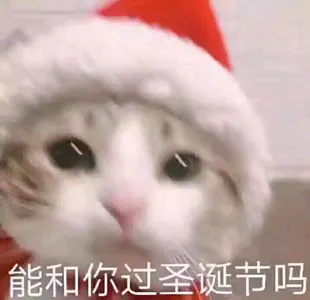 是喵星人啦00114-能和你过圣诞节吗猫