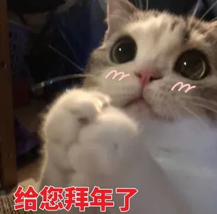 中国春节00001-给您拜年了