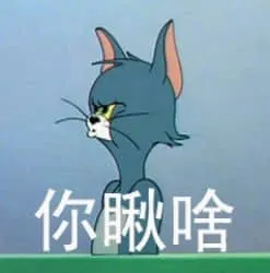 猫和老鼠00115-你瞅啥