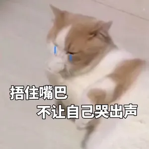 是喵星人啦00091-捂住嘴巴不让自己哭出声猫