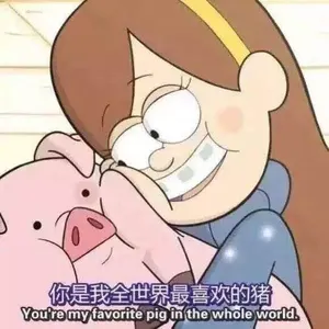 猪00015-你是我全世界最喜欢的猪