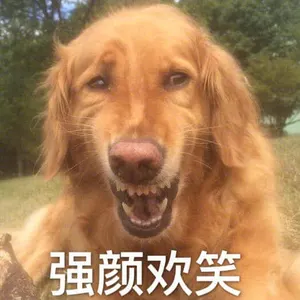 狗00021-强颜欢笑