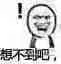金馆长熊猫00287-想不到吧