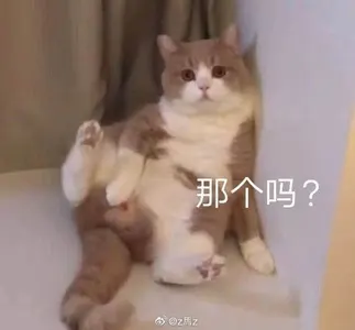 是喵星人啦00155-那个吗猫