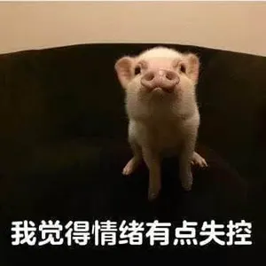 猪00006-我觉得情绪有点失控
