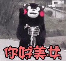 熊本熊00008-你好美女