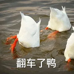 000000008