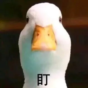 000000057