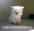 是喵星人啦00065-你最好收回刚刚那句话猫