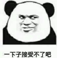 金馆长熊猫00269-一下子接受不了吧