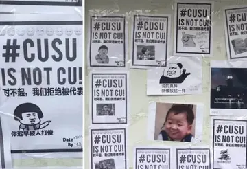 反港独00005-对不起我们拒绝被代表