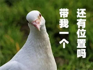 000000029