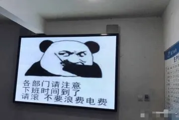 金馆长熊猫00295-各部门请注意下班时间到了请滚不要浪费电费