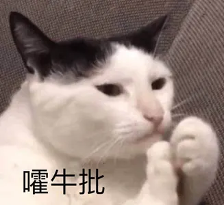 是喵星人啦00135-嚯牛批猫