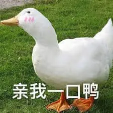 开心鸭00038-亲我一口鸭