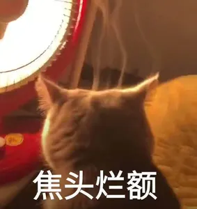是喵星人啦00099-焦头烂额猫