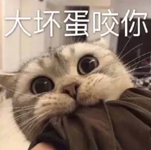 是喵星人啦00119-大坏蛋咬你猫