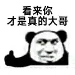 金馆长熊猫00233-看来你擦拭真的大哥