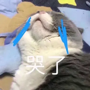 是喵星人啦00010-哭了猫