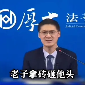 罗翔00074-老子拿砖砸他头