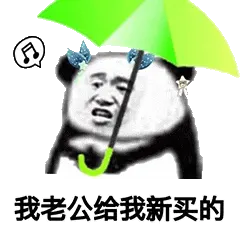 金馆长熊猫00171-我老公给我新买的