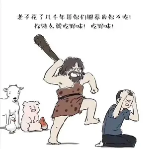 冠状病毒00012-老子花了几千年帮你们圈养的你不吃你特么就吃野味吃野味