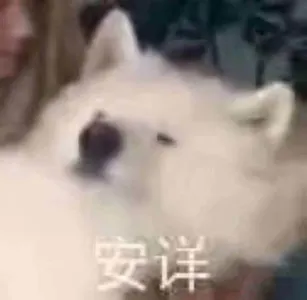 是喵星人啦00098-安详猫