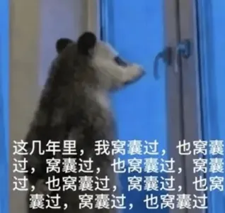负鼠00022-这几年里我窝囊过也窝囊过
