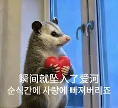 负鼠00024-瞬间就坠入了爱河