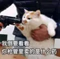 是喵星人啦00056-我倒要看看-你枪管里卖的什么药猫