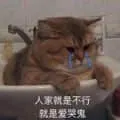 是喵星人啦00092-人家就是不行就是爱哭鬼猫