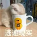 是喵星人啦00058-逃避现实猫
