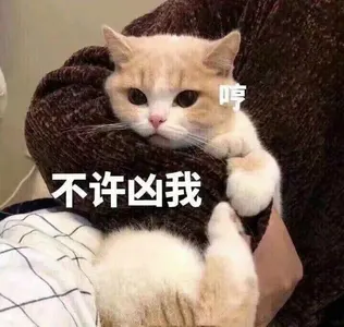 是喵星人啦00073-哼不许凶我猫