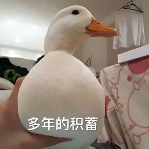 开心鸭00026-多年的积蓄