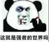 金馆长熊猫00061-这就是强者的世界吗