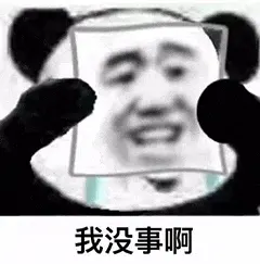 金馆长熊猫00135-我没事啊