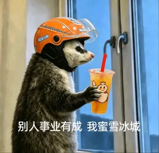 负鼠00029-别人事业有成我蜜雪冰城