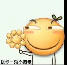 滑稽大佬00058-送你一朵小滑稽
