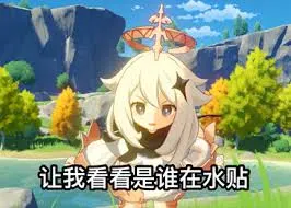 原神00060-让我看看是谁在水贴