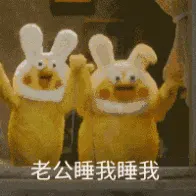 鹦鹉00003-老公睡我睡我