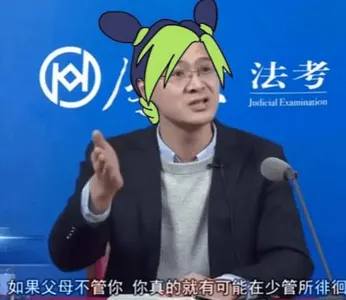 罗翔00018-如果父母不管你你真的就有可能在少管所徘徊